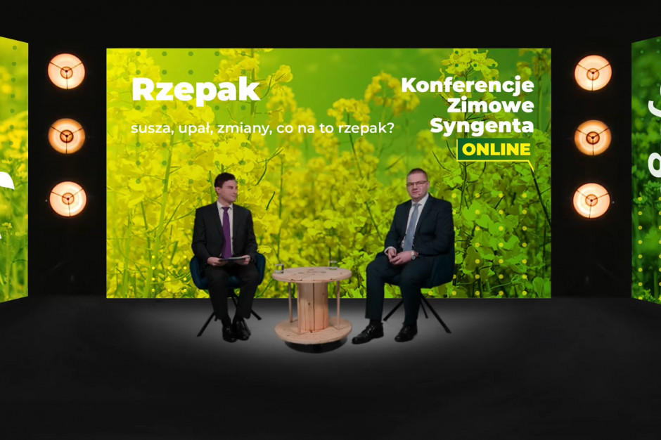 Konferencja Zimowa Syngenta Online. Rzepak; screen z konferencji