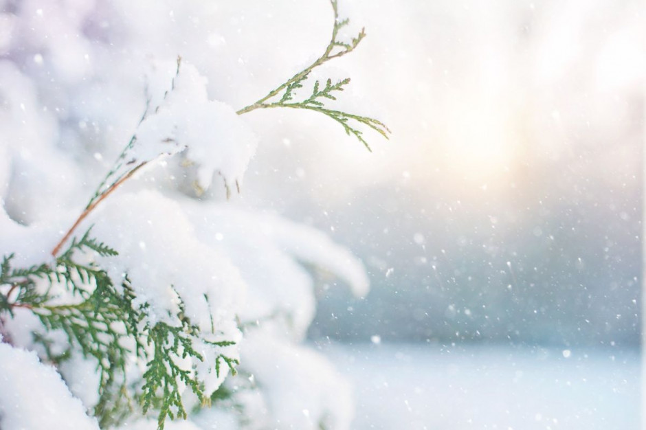 Niedziela upłynie w zimowej aurze, Foto: pixabay/JillWellington