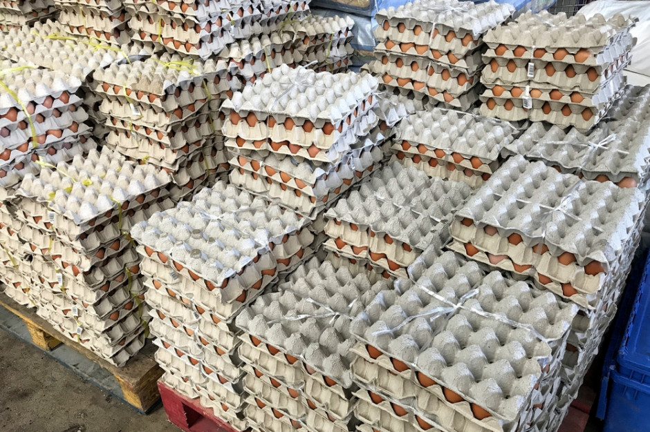 Indie wyeksportują rekordową liczbę jaj. To rezultat problemów w branży sąsiednich krajów, fot. Shutterstock