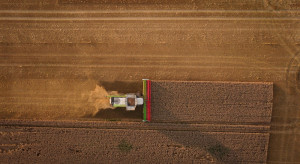 FAO: marcowa prognoza wskazuje na wzrost światowej produkcji zbóż w sezonie 2022/2023