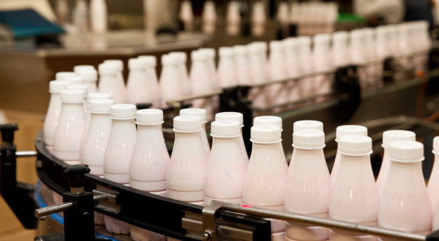 Pierwszy raz w historii cena mleka w Polsce wyższa od średniej unijnej