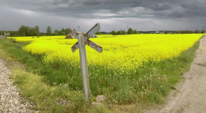 Does KOWR use a pick for large tenants?