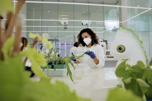 Nowa generacja produktów biologicznych. Bayer i Kimitec łączą siły