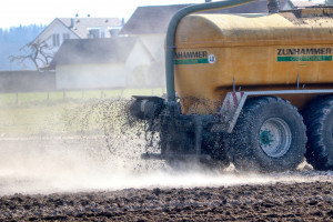 Czy wywóz gnojowicy zdrożał w 2023 r.? Sprawdzamy ceny usług