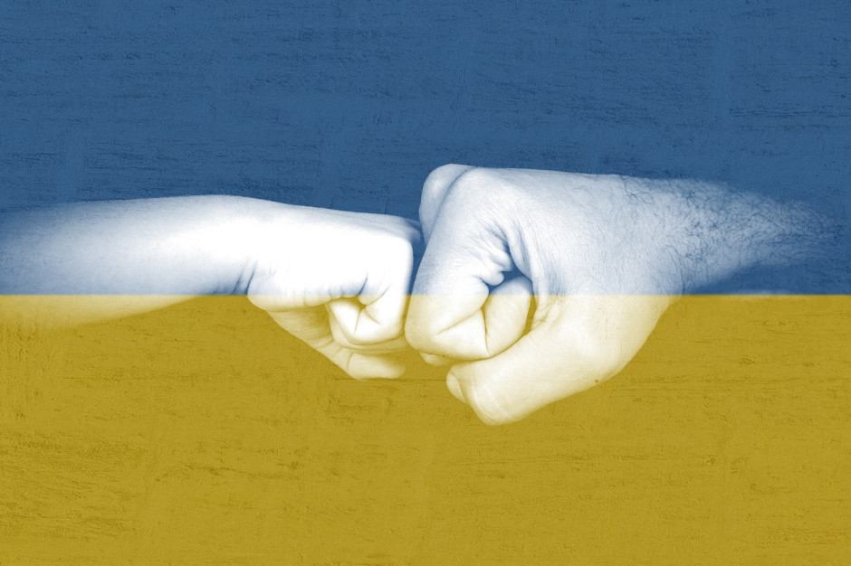 Niemal 90% uchodźców liczy na poprawę stosunków polsko-ukraińskich po zakończeniu wojny, fot. Aleksandra z Pixabay