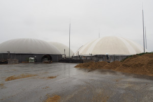Kowalski: W kwietniu specustawa o biogazowniach rolniczych i nowelizacja ustawy o OZE