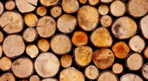 Pomimo zakazu rosyjskie drewno trafia do krajów UE