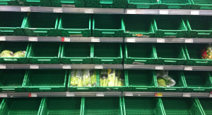 W Wielkiej Brytanii brakuje warzyw. Dlaczego półki sklepowe świecą pustkami?