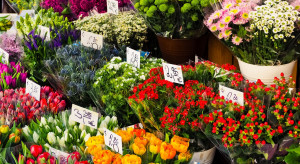 Włochy: import kwiatów i roślin ozdobnych wzrósł o 35 proc.