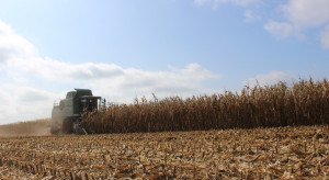 Ukraińska spółka IMC zakończyła dopiero żniwa kukurydzy