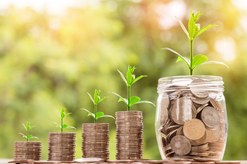 Opublikowany został projekt rozporządzenia dotyczący płatności rolno-środowiskowo-klimatycznych w latach 2023 - 2027, fot. pixabay