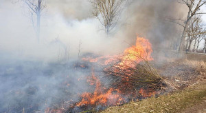 Warmińsko-mazurskie: Strażacy apelują, by nie wypalać traw; już 52 takie pożary