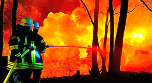 Wielki pożar na plantacji szparagów