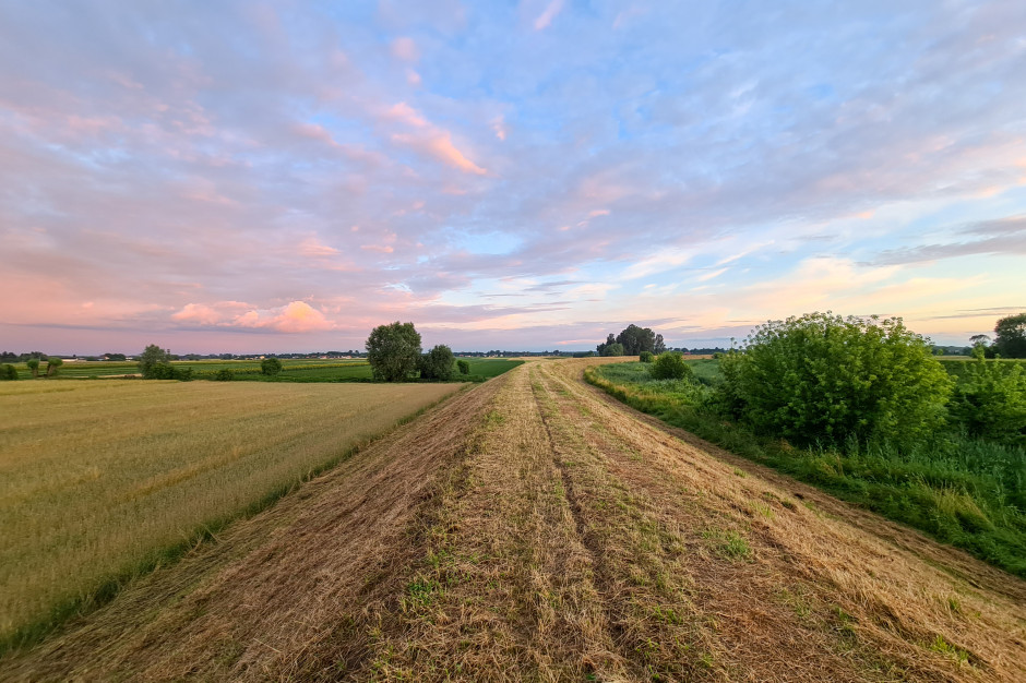 GAEC (ang. Good Agricultural and Environmental Conditions), czyli dobra kultura rolna zgodna z wymogami środowiska), fot. farmer.pl