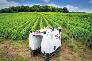 Roboty Yanmar robią robotę we Francji
