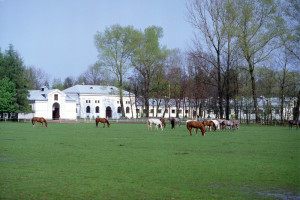 Stadnina w Janowie Podlaskim ma nowego prezesa. To efekt strajku pracowników