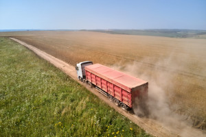 Znaczące podwyższenie prognozy zbiorów zbóż i oleistych na Ukrainie