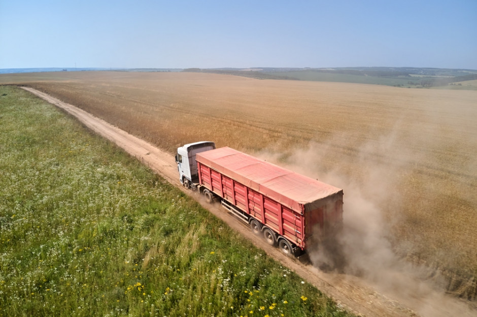 Były minister rolnictwa podkreślił, że z szacunków rolników zajmującymi się obrotem zbożem i rzepakiem wynika, że do Polski mogło trafić nawet 2,5 mln ton pszenicy i ponad 1 mln ton rzepaku, fot. Shutterstock