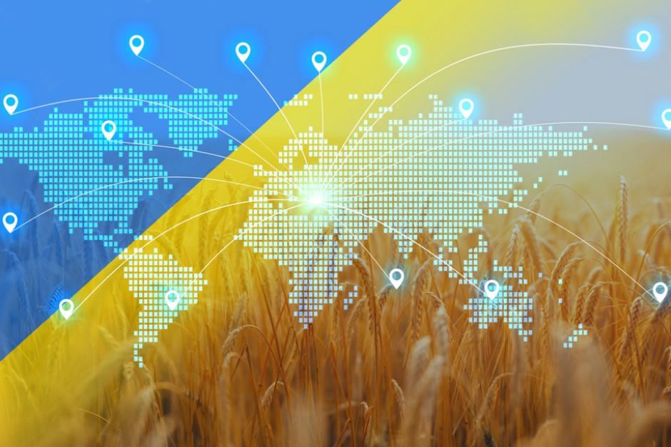 Ukraina. Kukurydza stanowiła niemal połowę eksportu, pszenica - 21 procent, fot. Shutterstock