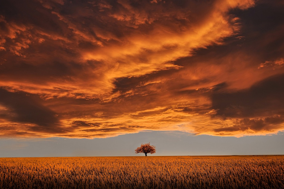 Ciemne chmury zbierają się nad polskim rolnictwem. Jednak wśród gospodarzy nadal nie widać jedności, fot. pixabay