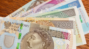 Pieniądze na młodego rolnika w lipcu, a na rozwój małych gospodarstw w sierpniu. Znamy dokładny harmonogram naborów