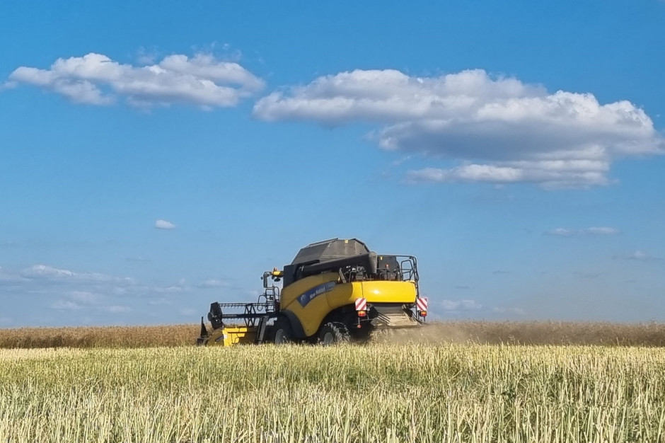 Średnie plony pszenicy w Polsce spodziewane są na poziomie 5,16 t/ha, wobec 5,34 t/ha w 2022 r.; Fot. KM