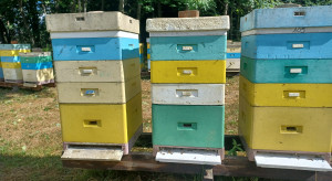 Już 3 kwietnia rusza nabór wniosków o wsparcie finansowe dla pszczelarzy