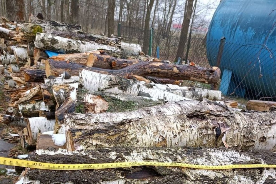 Skradzione drewno zostało odzyskane, Foto: KPP Bolesławiec