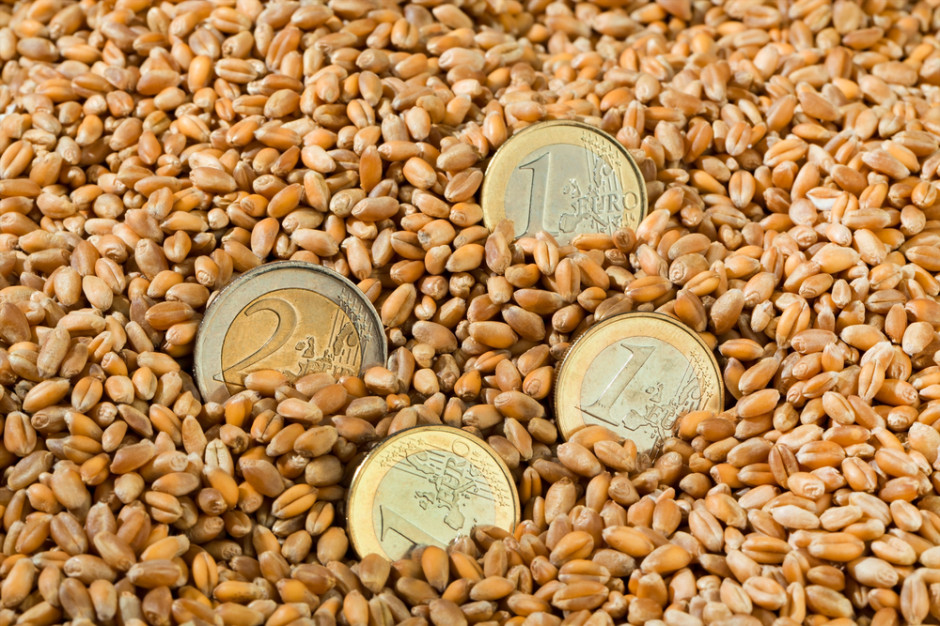 Pakiet pomocowy w wysokości 56 mln euro na rzecz wsparcia rolników w krajach frontowych został zaakceptowany, fot. Shutterstock