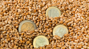 Polska dostanie 30 mln euro. KE zatwierdziła pomoc dla krajów dotkniętych importem zbóż z Ukrainy