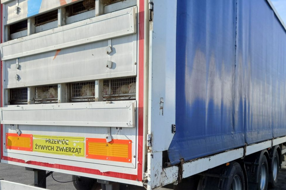 Ciężarówka wożąca drób dwukrotnie okazała sie być przeładowana, Foto: WITD Poznań