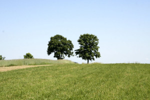 Zmniejszenie obszarów Natura 2000 teoretycznie możliwe