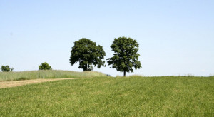 Zmniejszenie obszarów Natura 2000 teoretycznie możliwe
