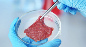 Włochy chcą zakazać na swoim rynku mięsa laboratoryjnego