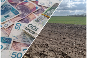 Dopłaty bezpośrednie i obszarowe za 2022 rok – ponad 19 mld zł przekazane rolnikom