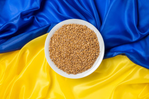 Czechy: Przedstawiciele izb rolniczych krajów V4 chcą powrotu do cła na ukraińskie zboże