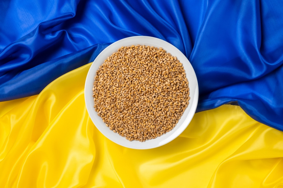 Import zboża z Ukrainy, fot. Shutterstock