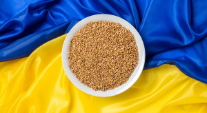 Ukraińskie zboże: stracił rolnik, tracą też punkty skupowe