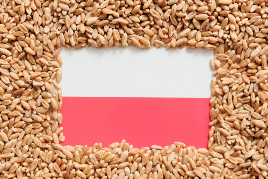 Rynek zbóż pod ścianą, fot. Shutterstock