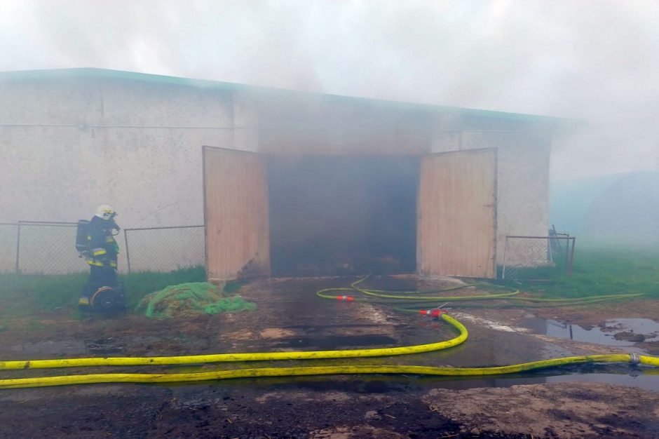 Strażacy ugasili płonący wewnątrz kurnik, Foto: OSP Lubiszyn