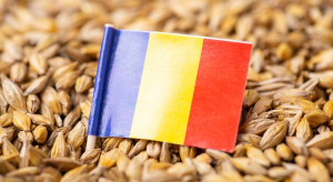 Rumuńscy politycy domagają się pilnego wstrzymania importu zbóż z Ukrainy