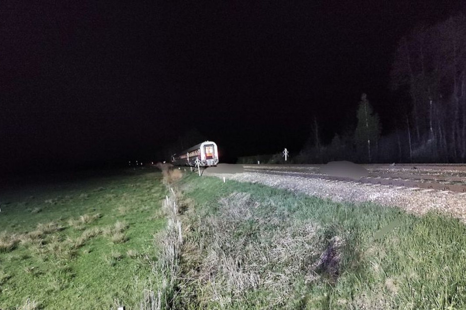 Dwie krowy zginęły na torach pod kołami pociągu, Foto: Nisko112