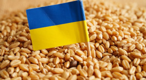 Po decyzji KE Polska, Słowacja i Węgry przedłużyły embargo na ukraińskie zboże, Rumunia wstrzymuje się