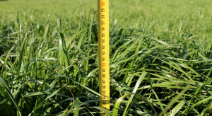 Kapryśna wiosna przyczyną opóźnień w siewie traw i zbiorze pierwszym pokosu