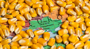 Decyzja dot. wprowadzeniu przez UE środków zapobiegawczych ws. produktów rolnych z Ukrainy wejdzie w życie we wtorek po południu