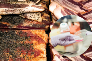 LabFarm rozpoczyna kolejny etap produkcji mięsa komórkowego