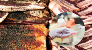 LabFarm rozpoczyna kolejny etap produkcji mięsa komórkowego