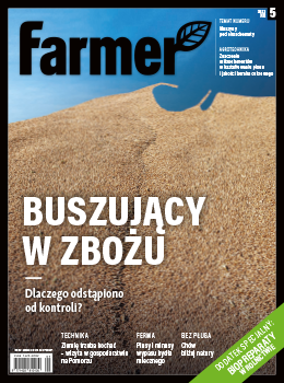 Pryszczarek kapustnik może zniweczyć całoroczne starania o plon