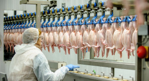 Horrendalne koszty produkcji mięsa w Europie. To produkt dla bogaczy