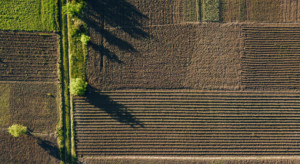 Sprawdź 8 najważniejszych zmian w ustawie o sprzedaży gruntów rolnych